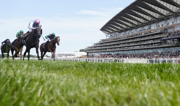 Horse Racing Hospitality