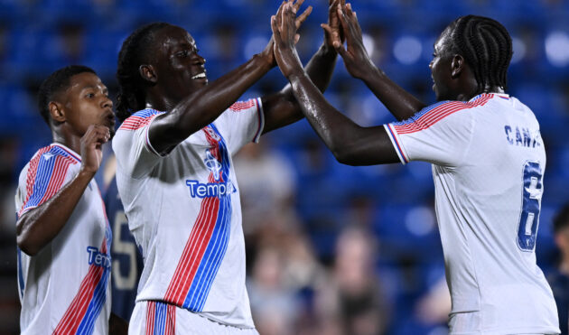 Crystal palace hospitality 10 GettyImages 2288500039 CrystalPalace 1