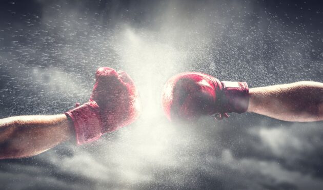 CANVA Stock Image Boxing 2