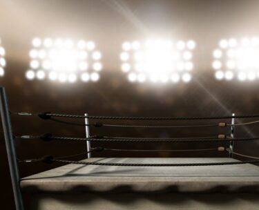 CANVA Stock Image Boxing 3