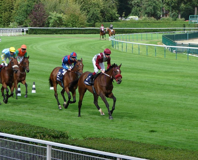 Horse Racing Race Course VIP Corporate Sports VIP Hospitality Qatar Prix De l’Arc De Triomphe Longchamp Racecourse hospitality