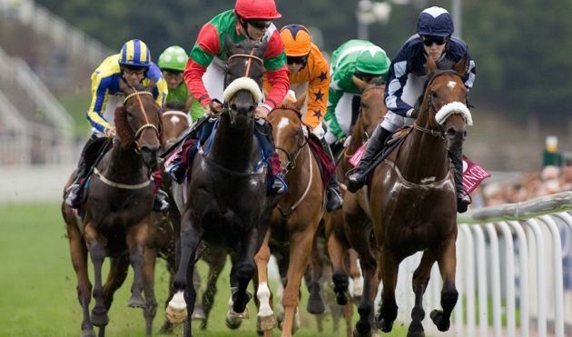 Chester races horse racing hospitality
