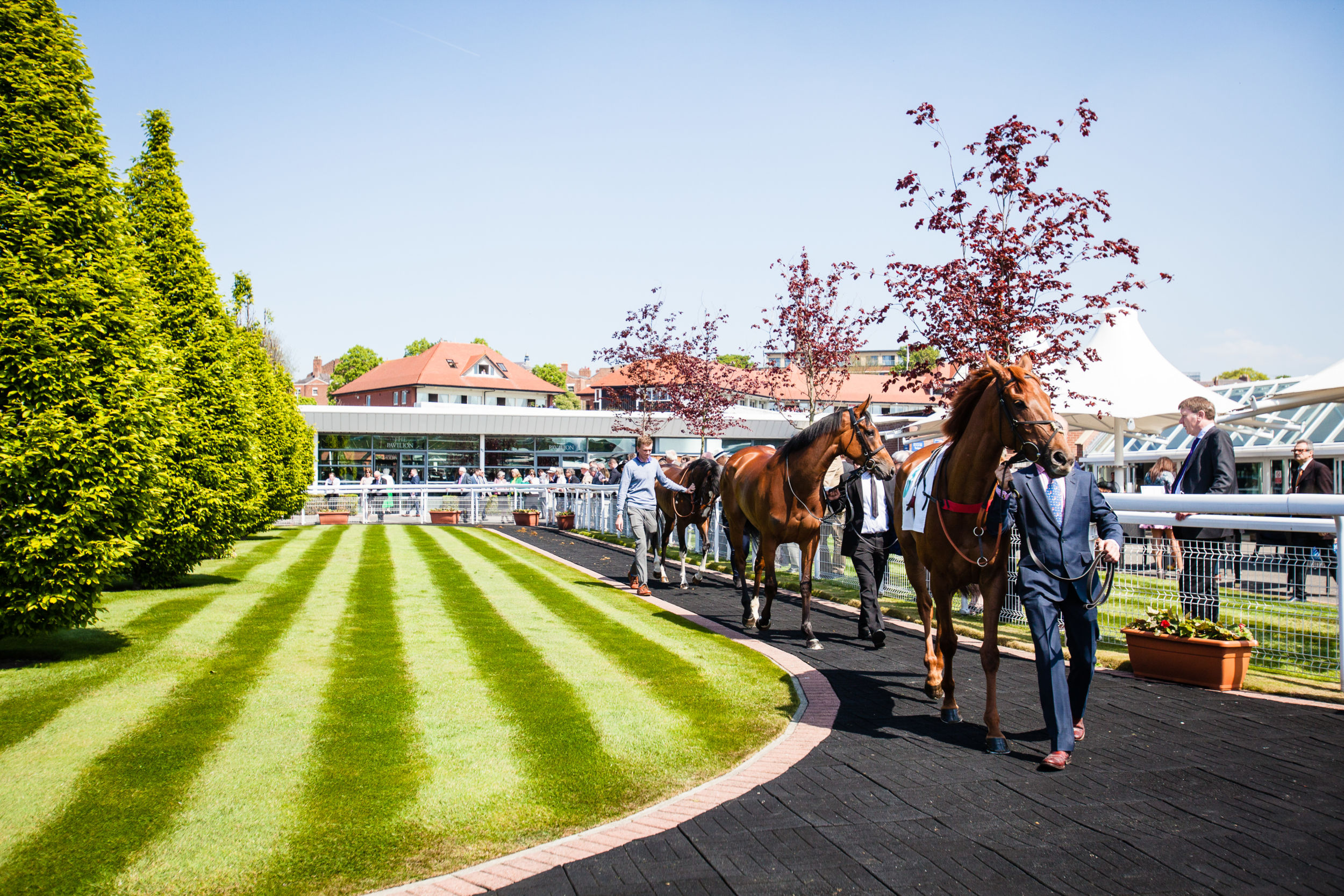 Chester Racecourse Hospitality Gala Hospitality