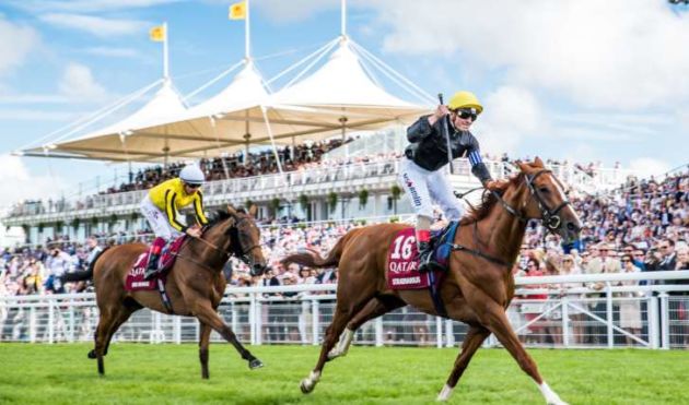 Qatar Glorious Goodwood Raceday Hospitality
