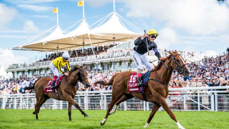 Qatar Glorious Goodwood Raceday Corporate Sports VIP Hospitality Qatar Glorious Goodwood Raceday Hospitality