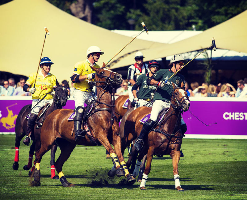 chestertons polo in the park VIP Corporate Sports VIP Hospitality