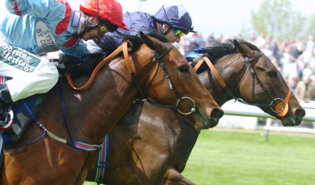 Warwick Horse Racing Race Course VIP Corporate Sports VIP Hospitality