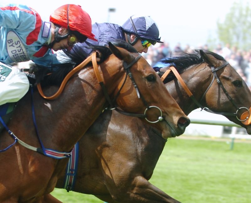 Warwick Horse Racing Race Course VIP Corporate Sports VIP Hospitality