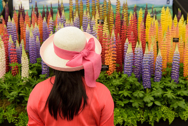 VIP Corporate Hospitality Food dining Staff Incentive Gift Travel Package Chelsea Flower Show Week Festival